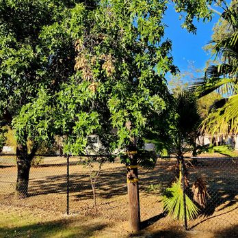 Ergeon - Front - Fences & Gates Near Me - Sacramento, California Ergeon - Front - Fences & Gates Near Me - Sacramento, California