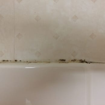 Quality Inn & Suites - Mold - Hotels Near Me - Titusville, Pennsylvania