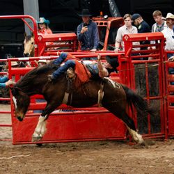 Humble Rodeo & BBQ Cookoff