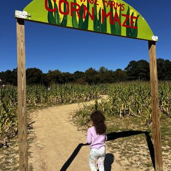 Page Farms - Fruits & Veggies Near Me - Raleigh, North Carolina Page Farms - Fruits & Veggies Near Me - Raleigh, North Carolina