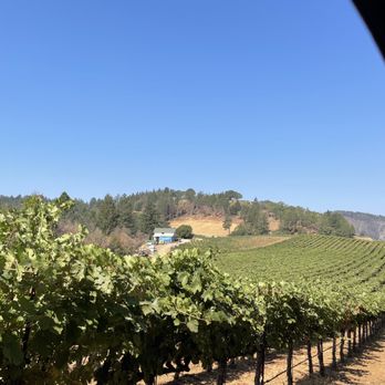 Smith-Madrone Vineyards - rows of vines in a vineyard - Wineries Near Me - Saint Helena, California Smith-Madrone Vineyards - rows of vines in a vineyard - Wineries Near Me - Saint Helena, California