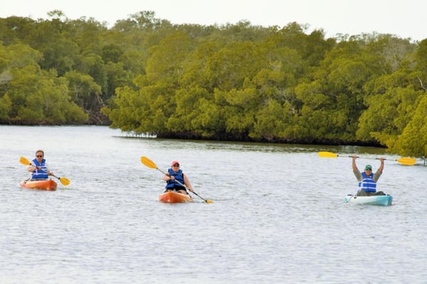 Rising Tide Explorers by null