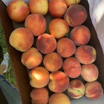 Homestead Farm - Fruits & Veggies Near Me - Poolesville, Maryland