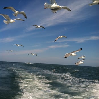 Lazy Bones - Boat Charters Near Me - Montauk, New York
