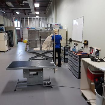 All About Grooming - Grooming Room - Pet Groomers Near Me - Guelph, Ontario