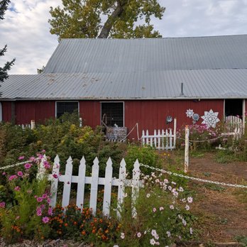 Ya Ya Farm and Orchard - Farmers Market Near Me - Longmont, Colorado Ya Ya Farm and Orchard - Farmers Market Near Me - Longmont, Colorado