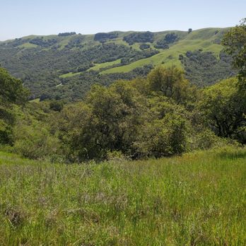 Las Trampas Regional Wilderness - Parks Near Me - San Ramon, California Las Trampas Regional Wilderness - Parks Near Me - San Ramon, California