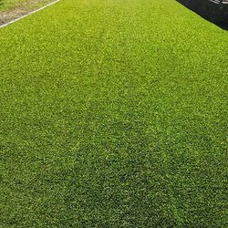 Tierra Bella Landscaping