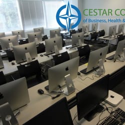 Cestar College Of Business, Health And Technology - Mobile Application Developer