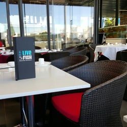 Live Fish - Inside