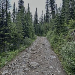 Spray Valley Provincial Park - Chester Lake Trail