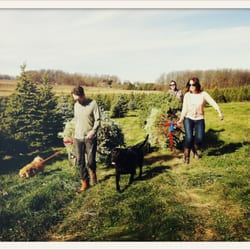 Wata Christmas Tree Farm