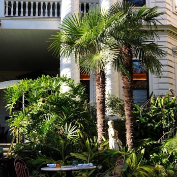 Columns - Hotels Near Me - New Orleans, Louisiana