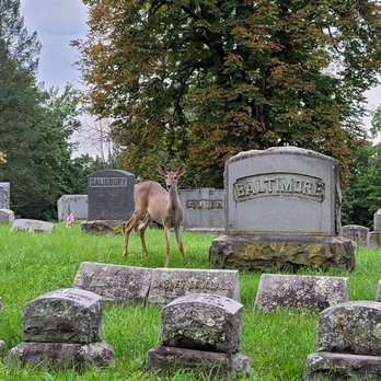 Oakwood Cemetery - Wildlife abounds throughout Oakwood - Funeral Services & Cemeteries Near Me - Troy, New York Oakwood Cemetery - Wildlife abounds throughout Oakwood - Funeral Services & Cemeteries Near Me - Troy, New York
