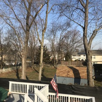 Joru Tree Service - Tree Services Near Me - South Plainfield, New Jersey Joru Tree Service - Tree Services Near Me - South Plainfield, New Jersey