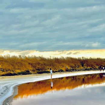 Alviso Marina County Park - Parks Near Me - Alviso, California