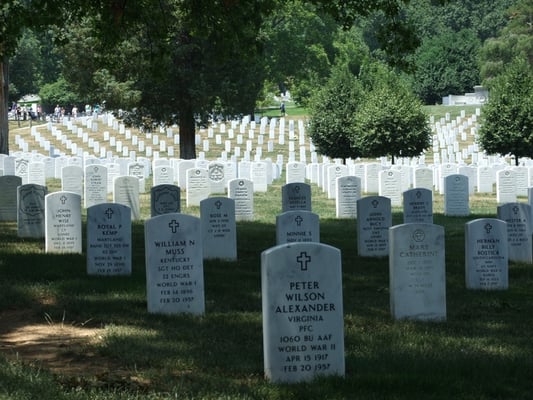 Arlington National Cemetery by null