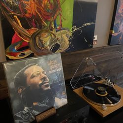 cellar + plate - Vinyl Night
