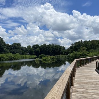 Cypress Wetlands - Parks Near Me - Port Royal, South Carolina