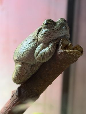 Westwood Hills Nature Center by null