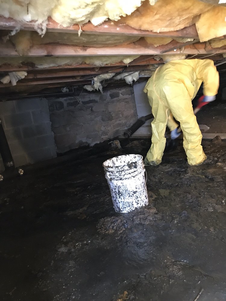 Slide of First Response Restoration