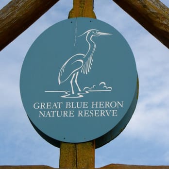 Great Blue Heron Nature Reserve - Great Blue Heron Nature Reserve - Parks Near Me - Chilliwack, British Columbia