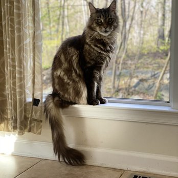 BluePearl Pet Hospital - Liam - Veterinarians Near Me - Paramus, New Jersey