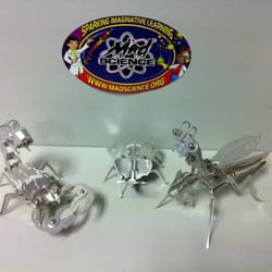 Mad Science of North Central Indiana - Metal Bugs!