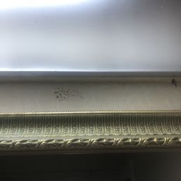 Mold in bathroom
