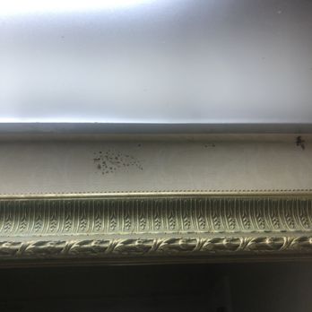 Quality Inn & Suites - Mold in bathroom - Hotels Near Me - Searcy, Arkansas