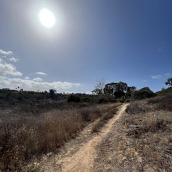 Rose Canyon Open Space Park