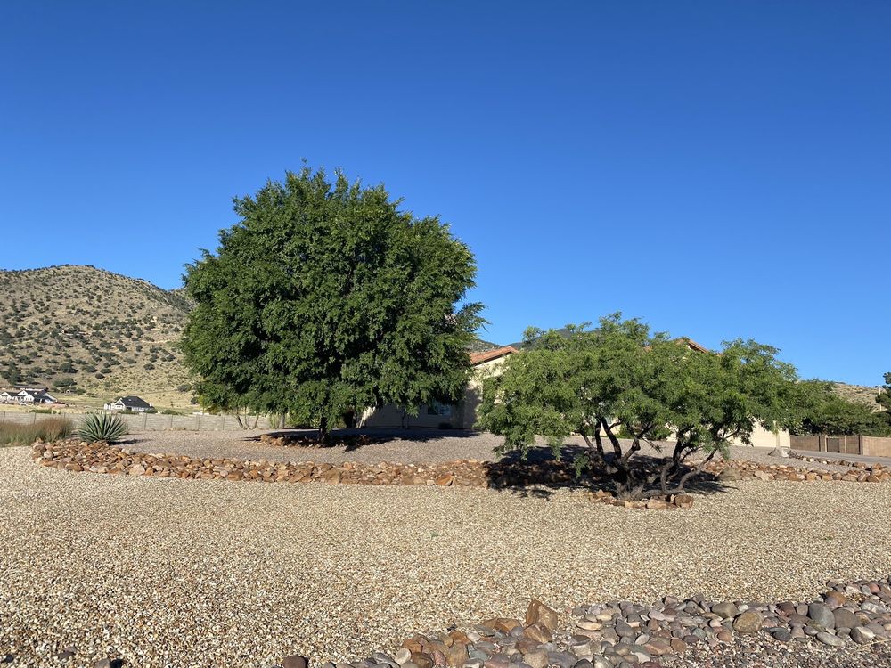 TYLER’S YARD, TREE, & LANDSCAPING SERVICES Updated 2024 14 Reviews