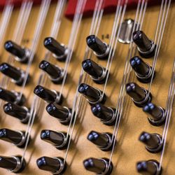 Star Piano Tuning and service