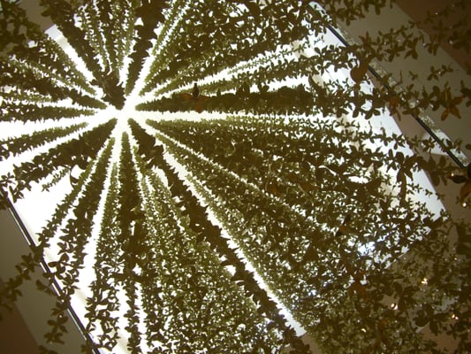 Neiman Marcus by null