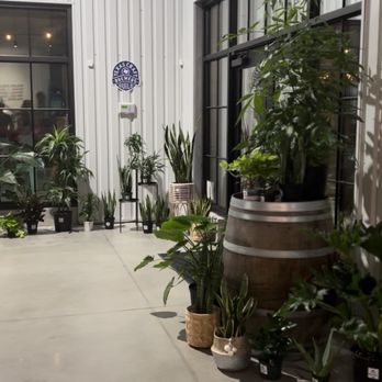 Frost Town Brewing - Plants for sale - Brewpubs Near Me - Houston, Texas