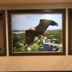 Webster Plate Glass - Indian Ranch- Eagle over the Lake. Designed by Indian Ranch and Woontech. Installed by WPG.