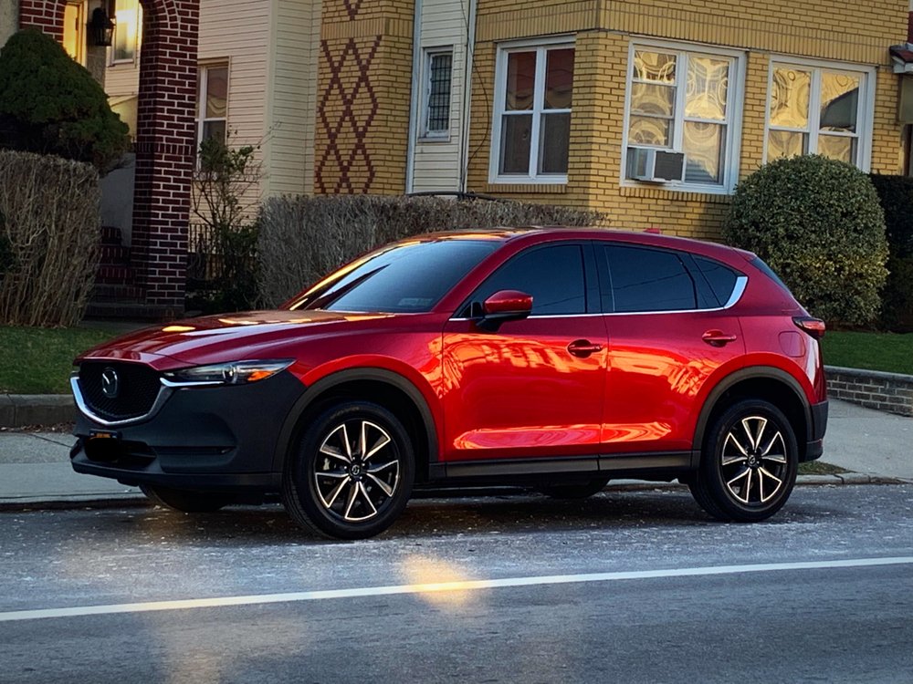 ALL AROUND BUMPER GUARDS Updated September 2024 103 Photos & 10