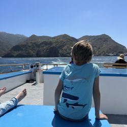 Channel Islands Expeditions - Ventura County - Saying goodbye