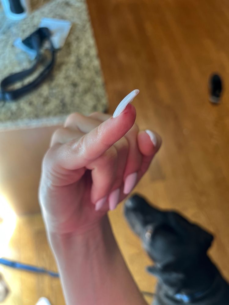 FAMOUS NAILS Updated September 2024 20 Reviews 1581 Hillside Avenue, Victoria, British