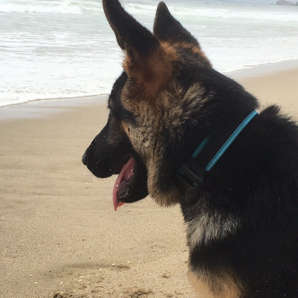 Her first time ever at a beach, and it was here. She loved it!