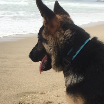 Kehoe Beach - Her first time ever at a beach, and it was here. She loved it! - Beaches Near Me - Tomales Bay, California