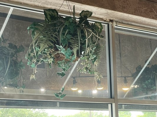 Benny's Bagels by null