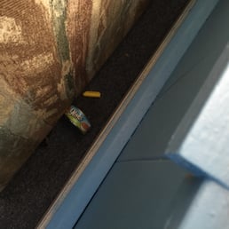 Smelly old cat food can stuffs behind couch Smelly old cat food can stuffs behind couch