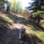 Photo of Belgravia Dog Park