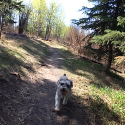 Belgravia Dog Park - Trail exiting the park northward.