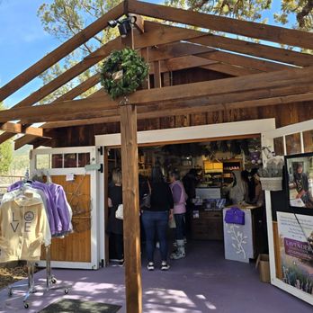 Pine Creek Canyon Lavender Farm - Farms Near Me - Pine, Arizona