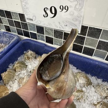 Hashi Market - Live Shellfish - International Grocery Near Me - Union City, California Hashi Market - Live Shellfish - International Grocery Near Me - Union City, California
