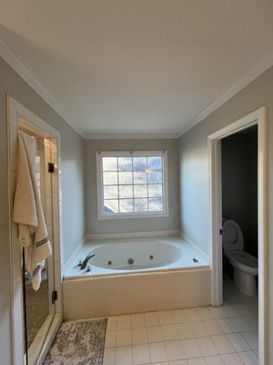 American Painting Restoration Logo