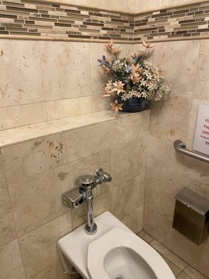 The Hare and Hound by null