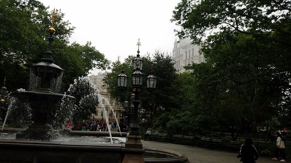 City Hall Park Greenmarket by null